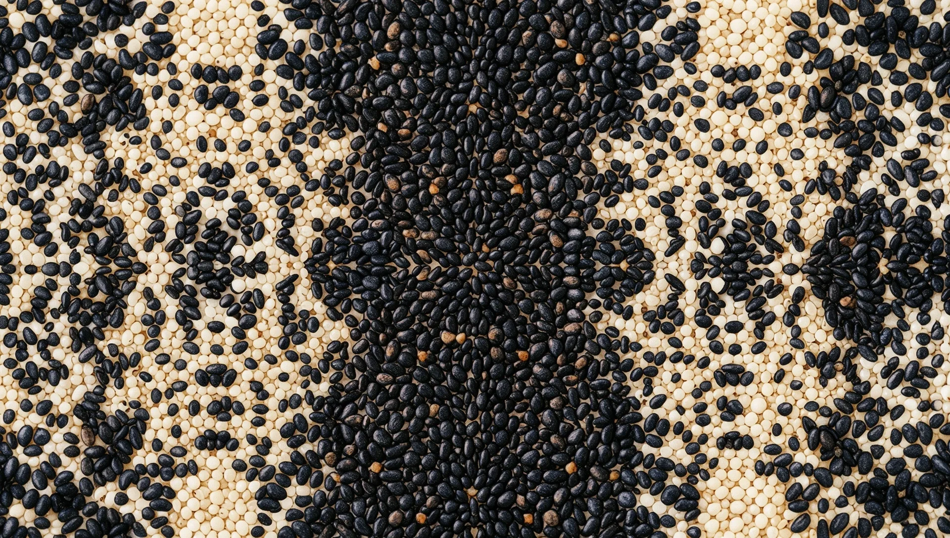Macroscopic view of nutritional structural patterns